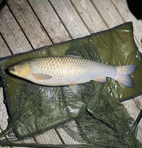 Tatil Evi Dom Nad Stawem Dluzec 55a *